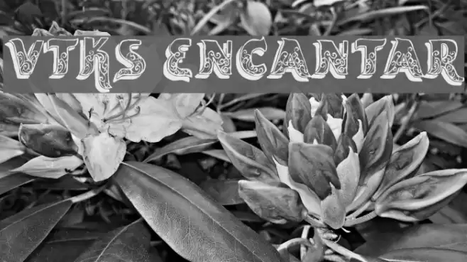 vtks encantar Caratteri examples