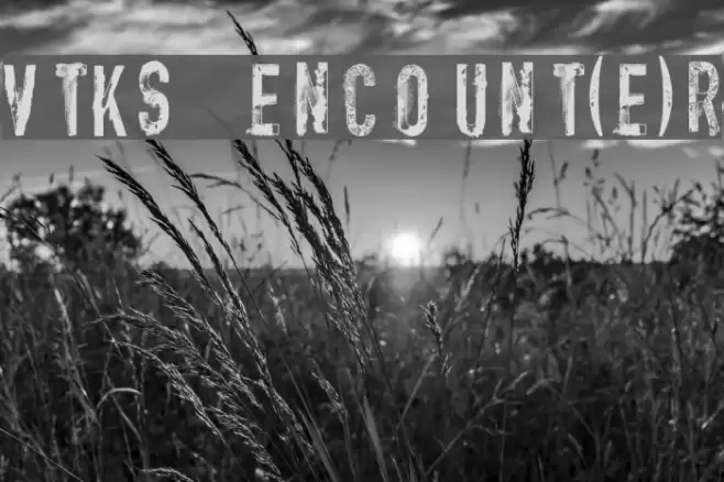 vtks encount(e)r Font examples