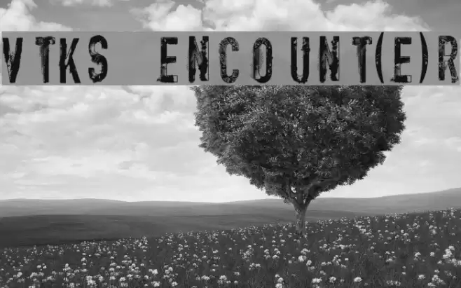 vtks encount(e)r Font examples