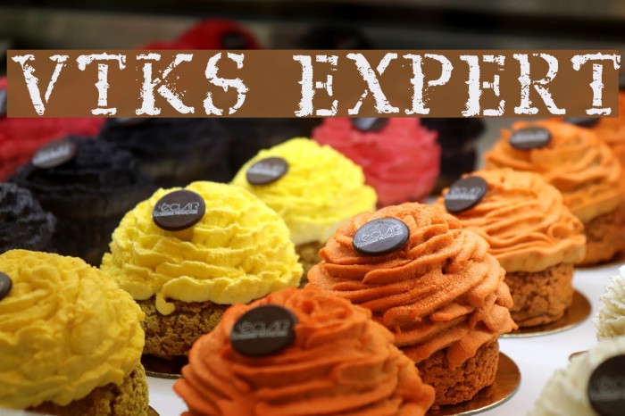 vtks expert Example 1