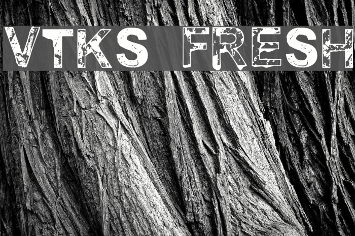 vtks fresh Example 2