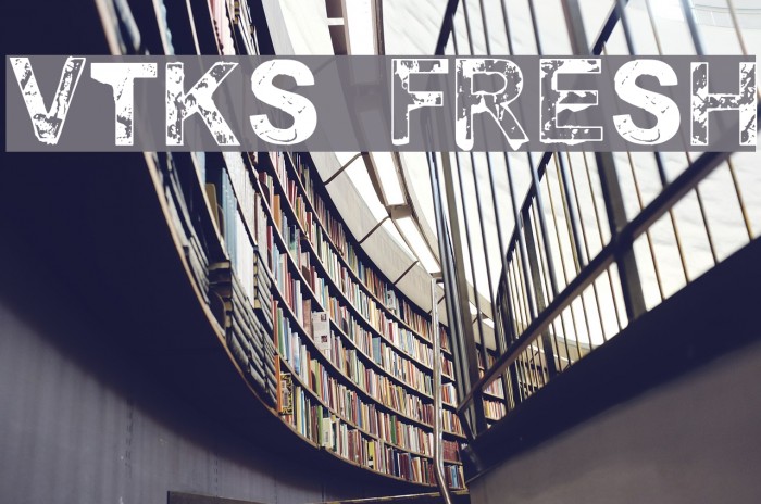 vtks fresh Example 3