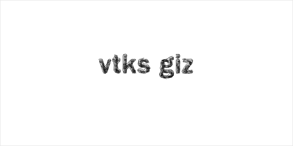 vtks giz Logo