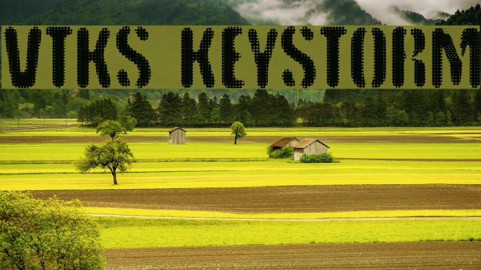 vtks keystorm Font examples