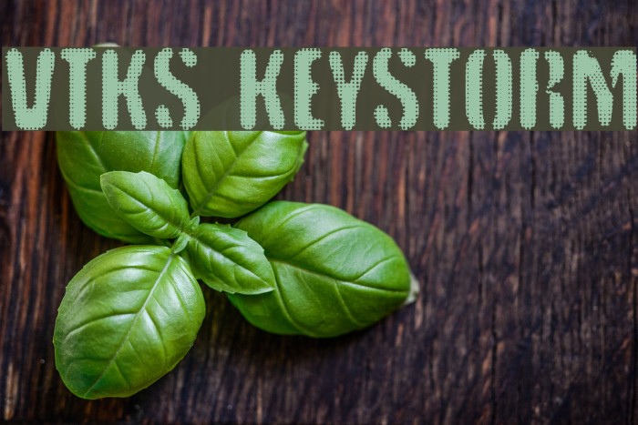 vtks keystorm Font examples