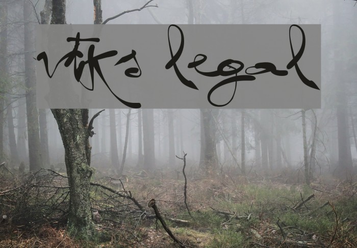 vtks legal Font examples