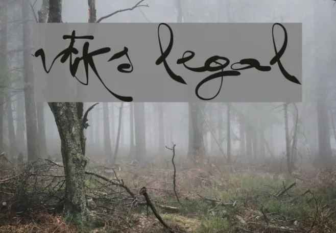 vtks legal Example 3