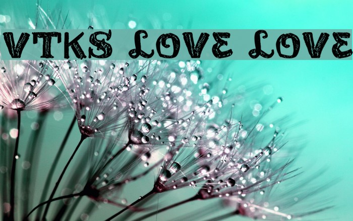 vtks love love Example 2