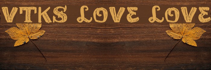 vtks love love Example 3