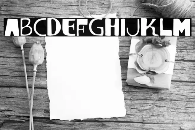 vtks lumina Font examples