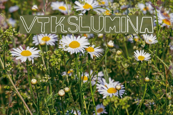 vtks lumina Font examples