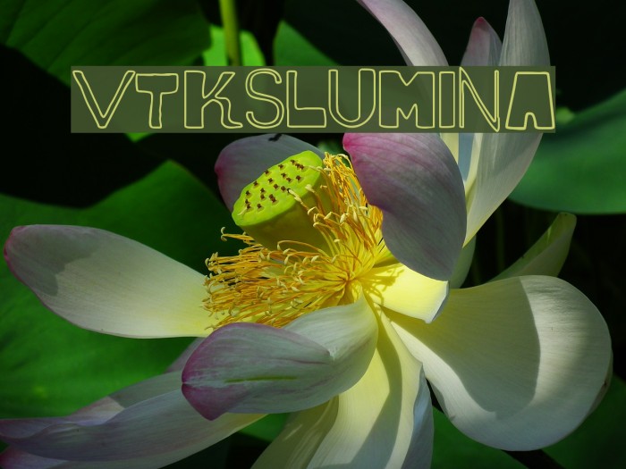 vtks lumina Font examples