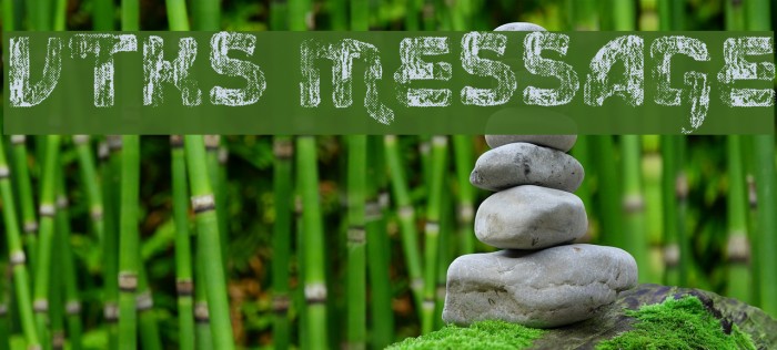 vtks message Font examples