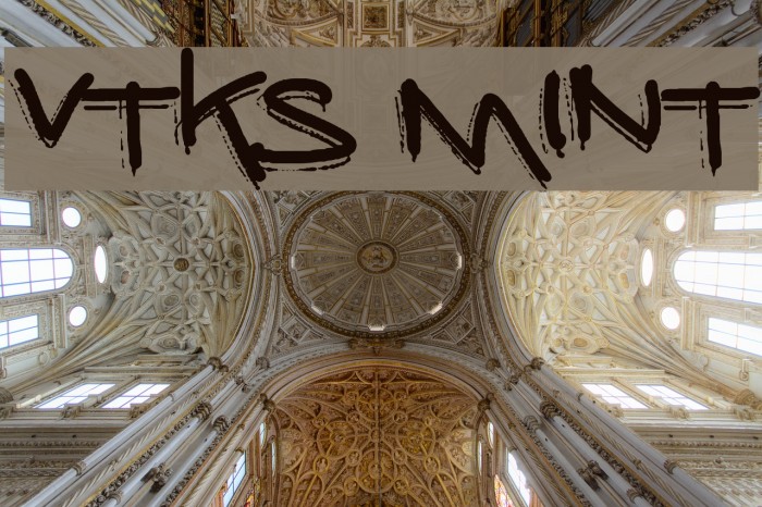 vtks mint Font examples
