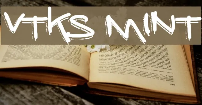 vtks mint Example 2