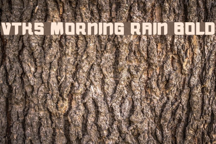 vtks morning rain BOLD Font examples