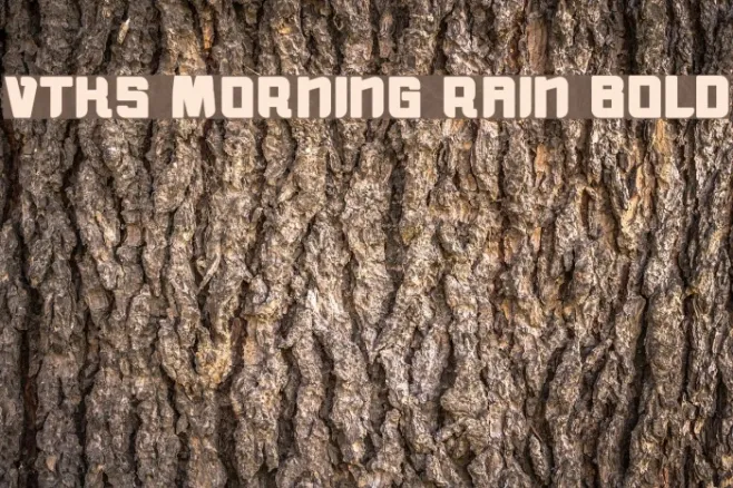 vtks morning rain BOLD Example 2