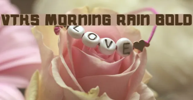 vtks morning rain BOLD Example 3