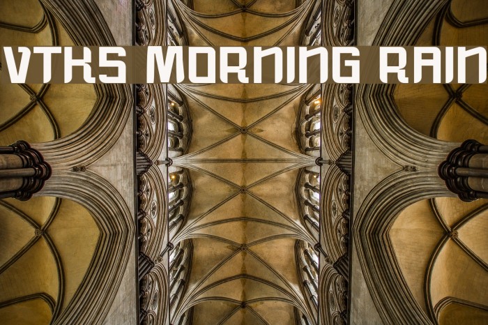vtks morning rain Font examples
