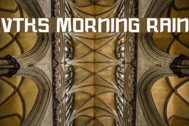 vtks morning rain Example 2
