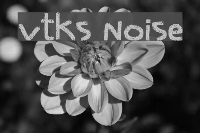 vtks noise Font examples