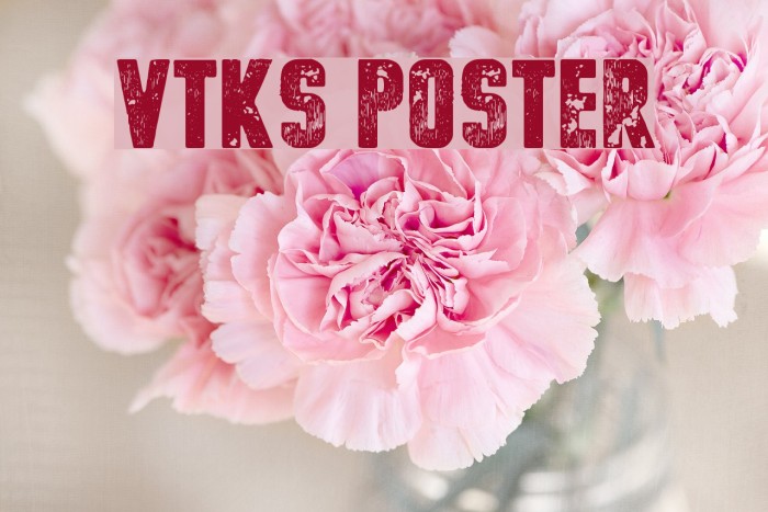 vtks poster Font examples