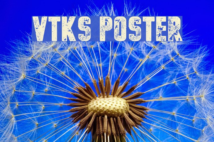 vtks poster Font examples