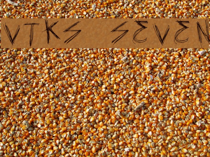 vtks seven Example 2