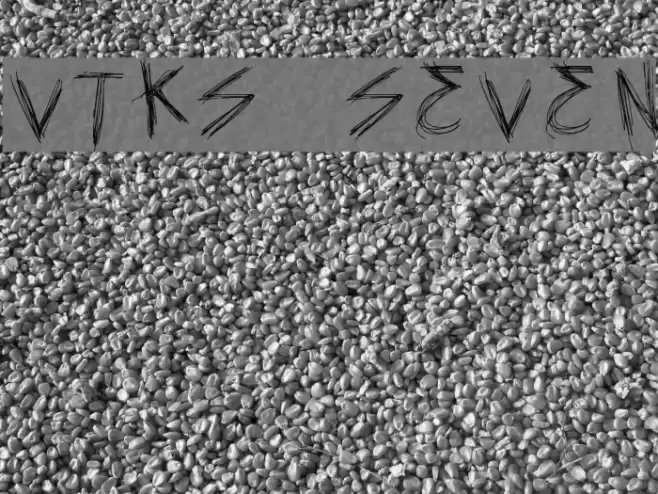 vtks seven Font examples