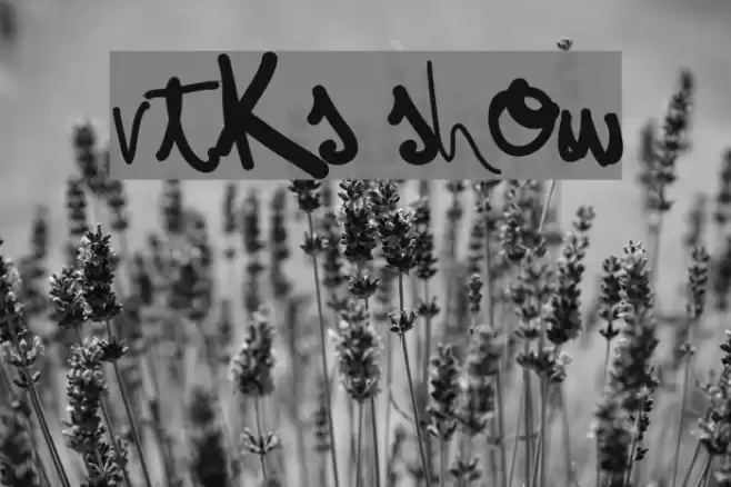 vtks show Font examples