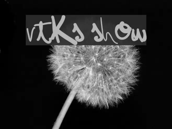 vtks show Font examples