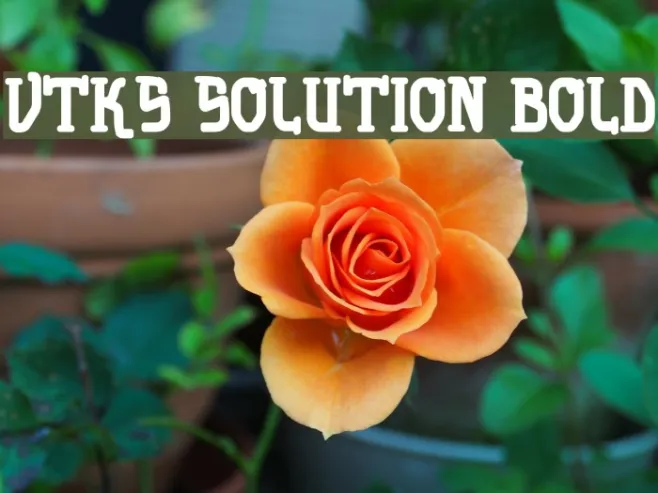 vtks solution bold Example 1