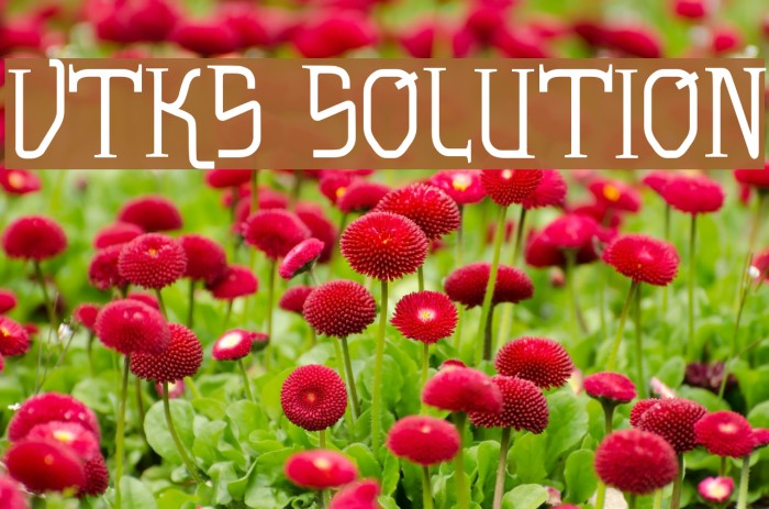 vtks solution Font examples