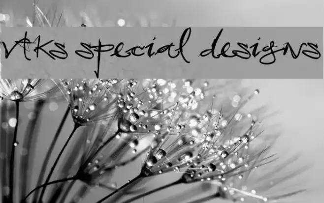 vtks special designs Font examples