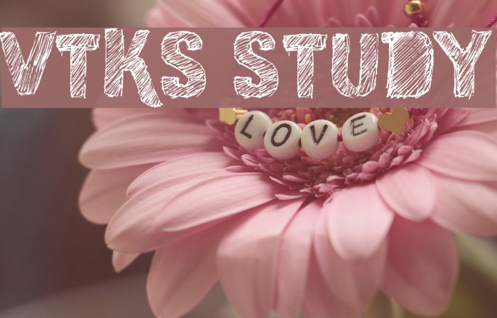 vtks study Font examples