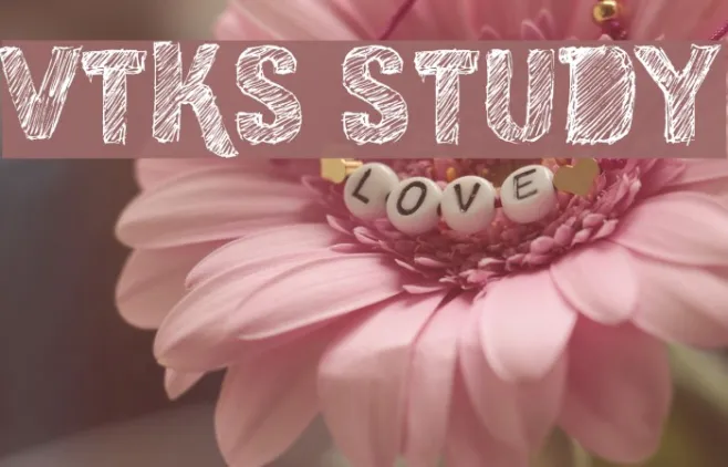 vtks study Example 2