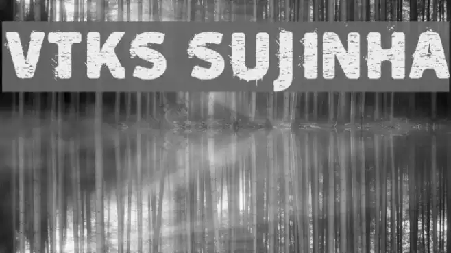vtks sujinha Font examples