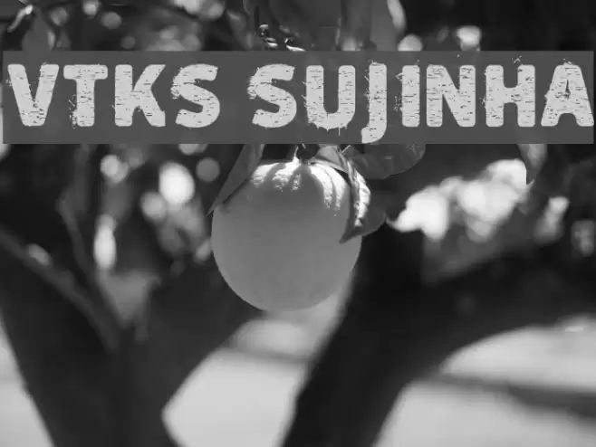 vtks sujinha Font examples
