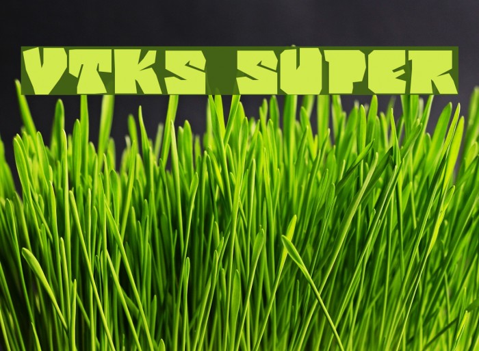 vtks super Font examples