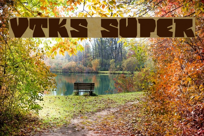 vtks super Font examples