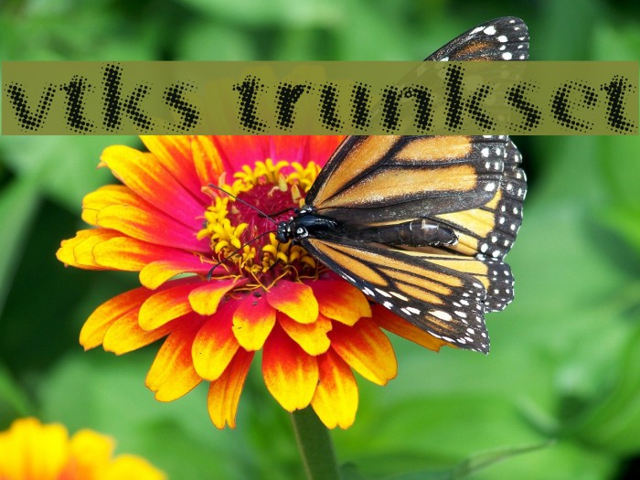 vtks trunkset Font examples