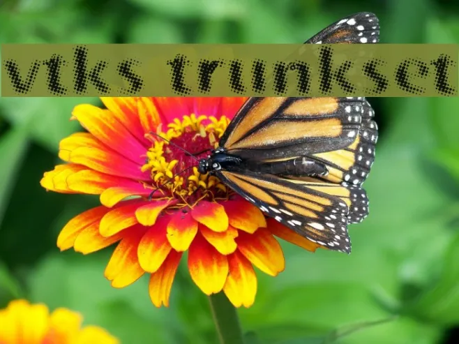 vtks trunkset Example 1