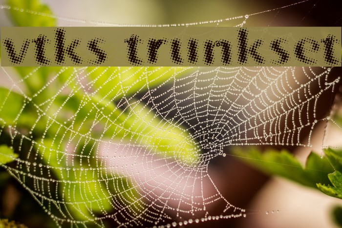 vtks trunkset Font examples