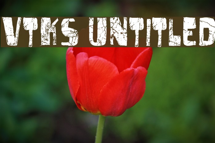 vtks untitled Font examples