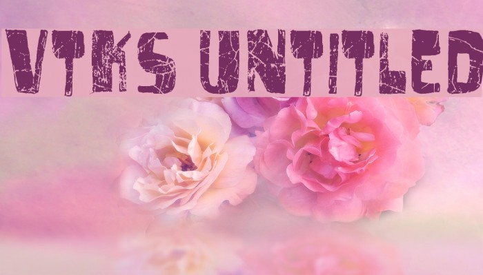 vtks untitled Font examples