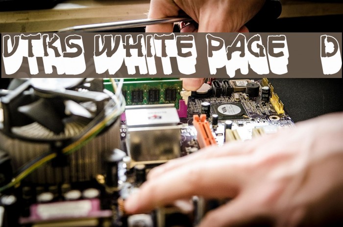 vtks white page 3d Example 3