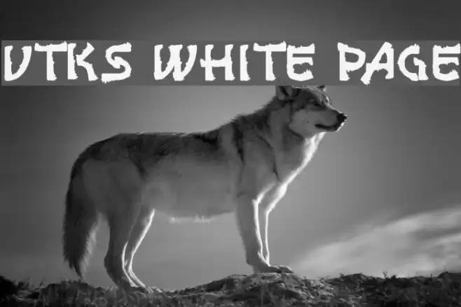 vtks white page Font examples