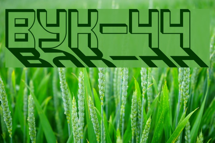 VUK-44 फ़ॉन्ट examples