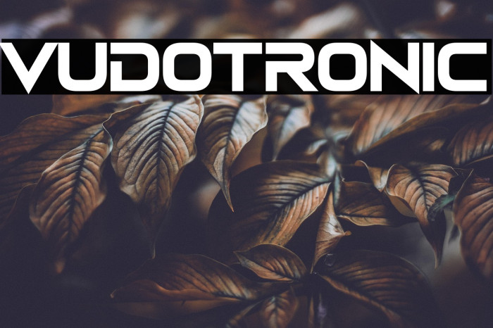 Vudotronic Example 1