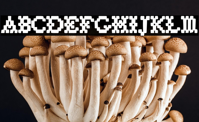 Vuelta De Campana Example 2